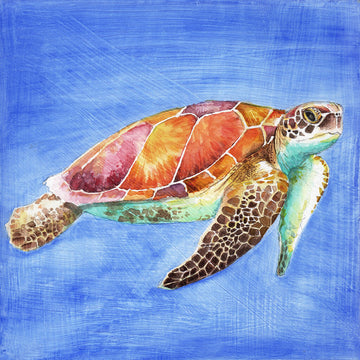 sea turtle watercolor