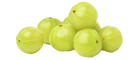 Amla Beeren