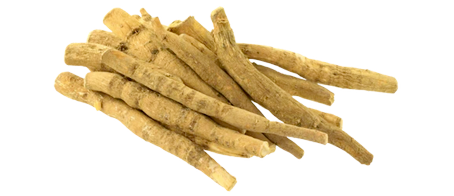 Ashwagandha Wurzel