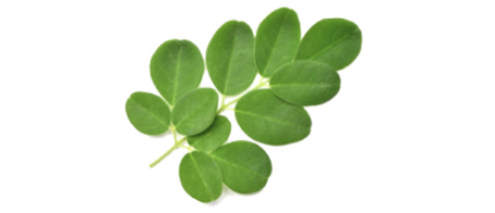 Moringa