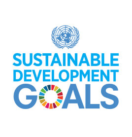 UN sustainable development goals Logo