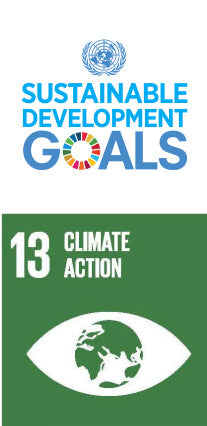 UN sustainability goals Icons
