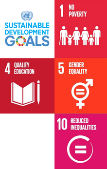 UN sustainability goals Icons