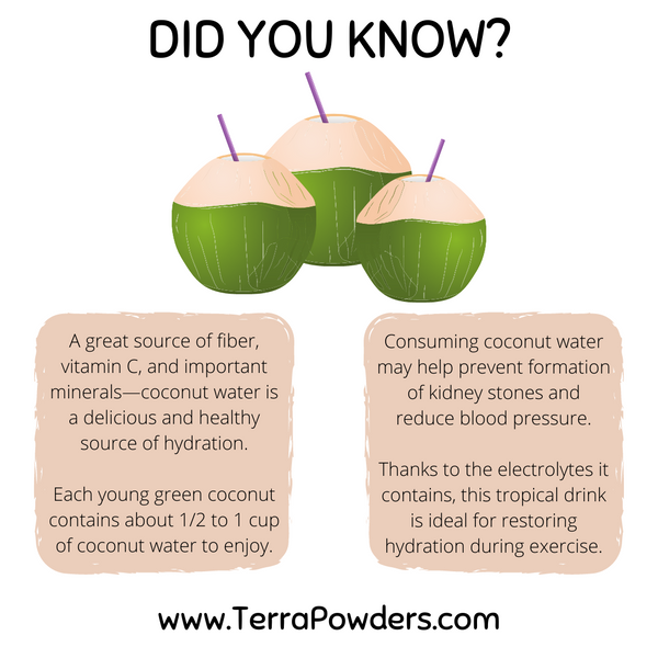 Terra Powders Did You Know Coconut Water Infographic