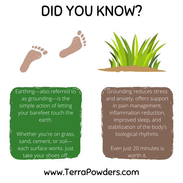 Did You Know Grounding Facts Terra Powders Healthy Lifestyle Earthing Infographic