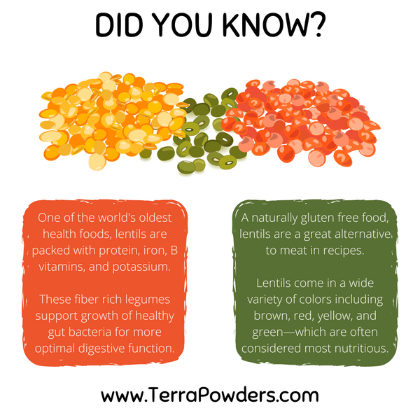 Terra Powders Lentil Infographic Did You Know These Healthy Facts About Lentils