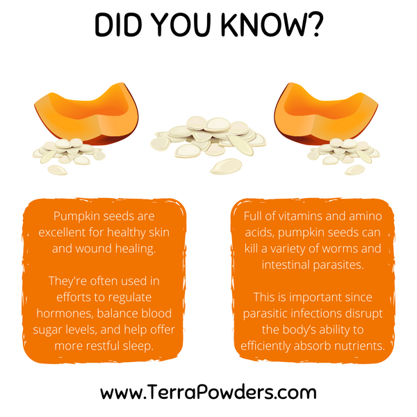 Terra Powders Did You Know Pumpkin Seeds Clean Food Power Food Facts Infographic