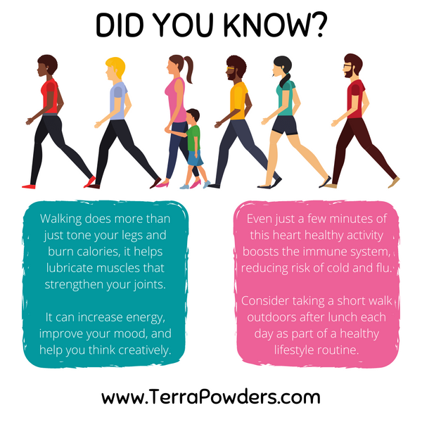 Terra Powders Infographic Did You Know Facts About Walking And The Healthy Benefits Of Taking A Daily Walk