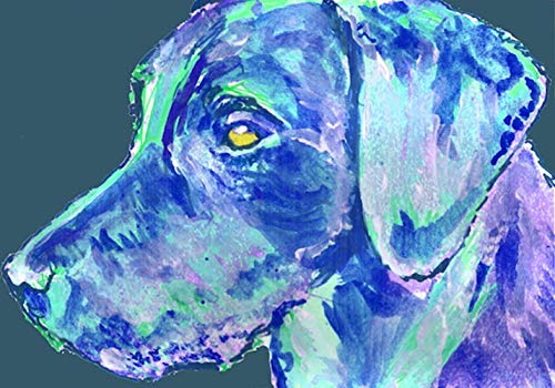 Abstract Labrador Wall Art Colorful Blue Labrador Art Lab Owner Deco Dog Portraits By Oscar Jetson