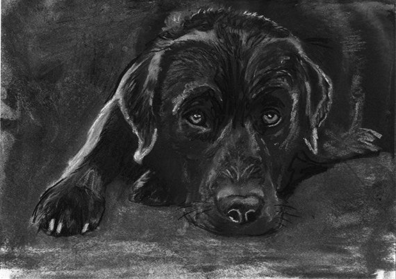 18+ Most Black lab wall art images info