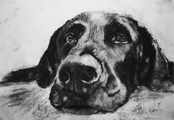 Labrador Wall Art Black Lab Print Lab Mom Labrador Owner Gift Lab Dog Portraits By Oscar Jetson