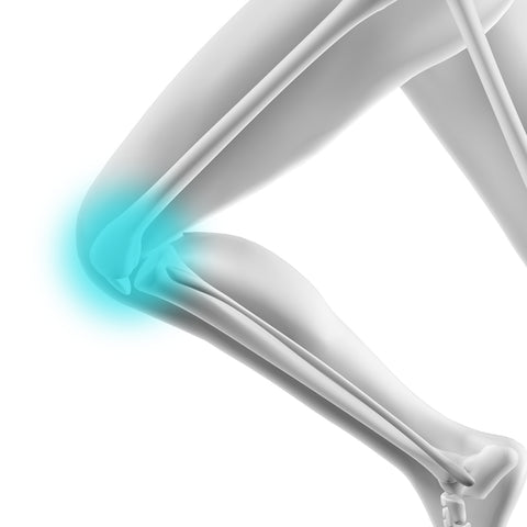 Image of leg bones with knee joint highlighted to signify Omega-3 benefits to the joints