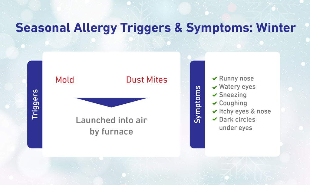 seasonal allergies winter triggers and symptoms 