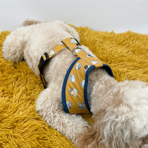 yello dog harness with black clip