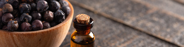 juniper berries in bowl amber bottle