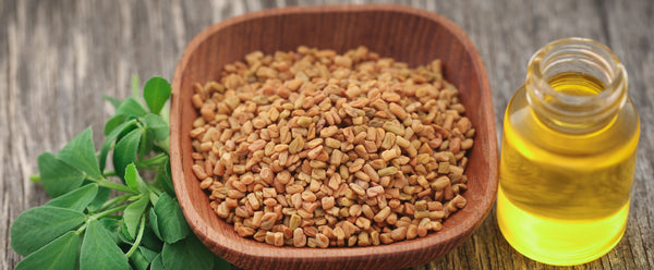 fenugreek seed with oil bottle