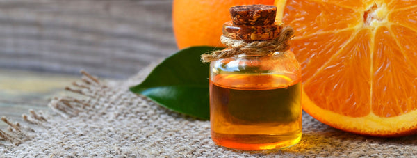 oil in bottle with sliced orange