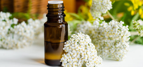 essential oil bottle surrounded by yarrow