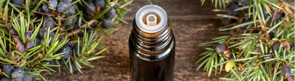 oil bottle with juniper berries