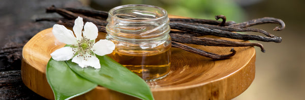 essential oil in jar with dried vanilla beans