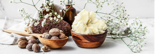 shea nuts with oil and shea butter