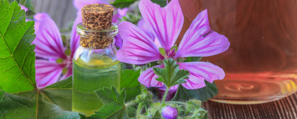 hibiscus with oil bottle