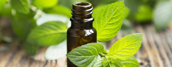 essential oil bottle with peppermint leaves