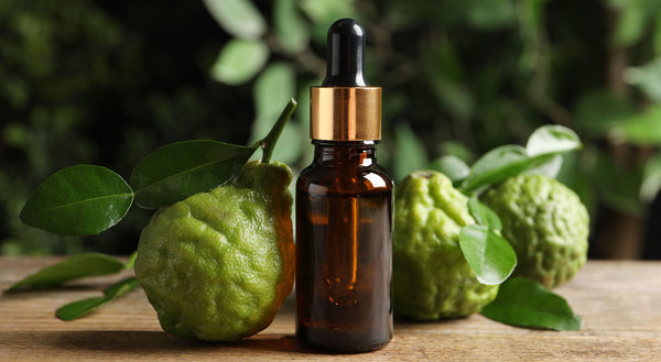 bergamot essential oil bottle in front of bergamot fruit