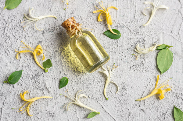 essential oil with honeysuckle blossoms 