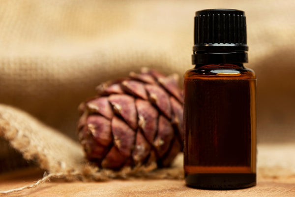 essential oil bottle with pine cone