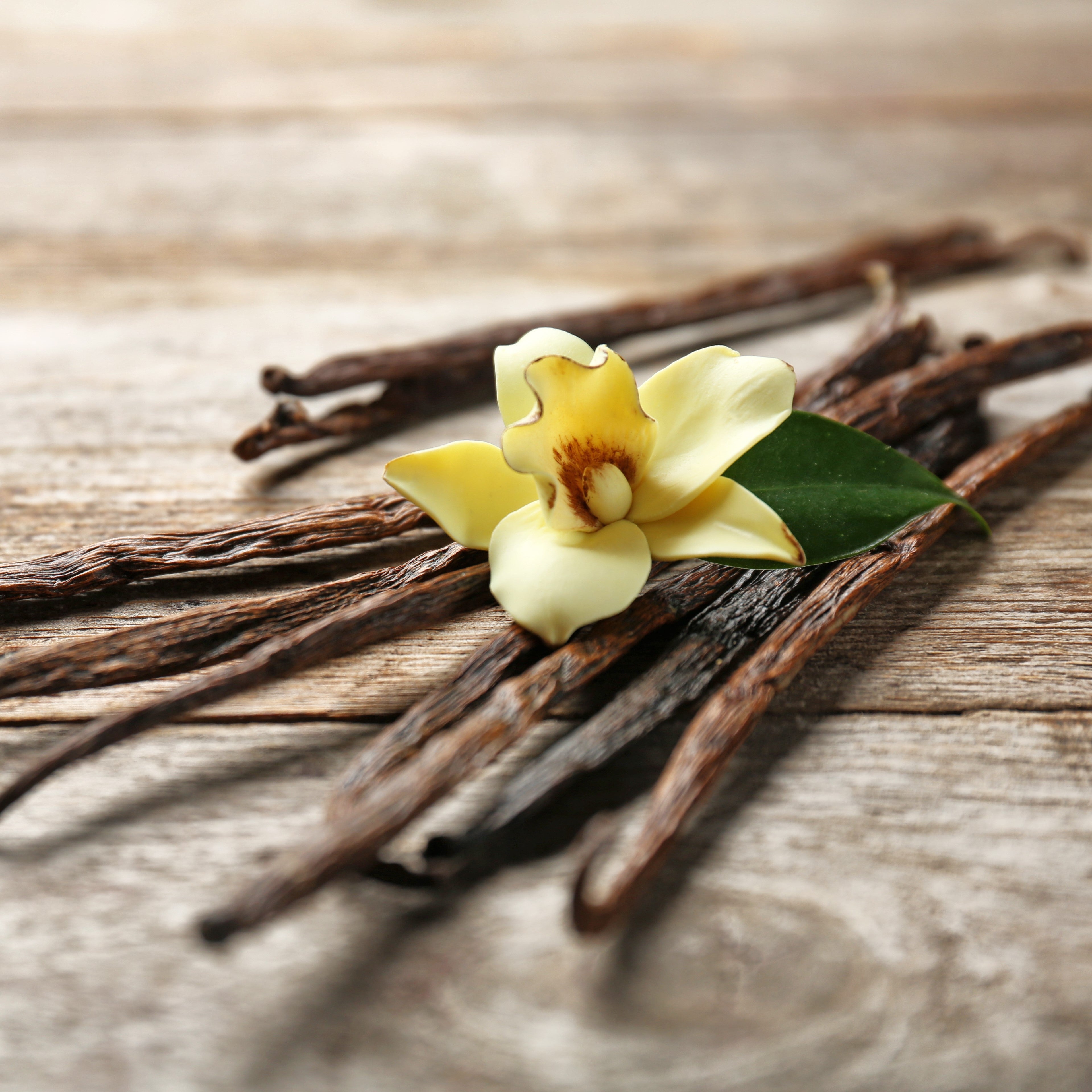 Vanilla Essential Oil — Wholesale Botanics