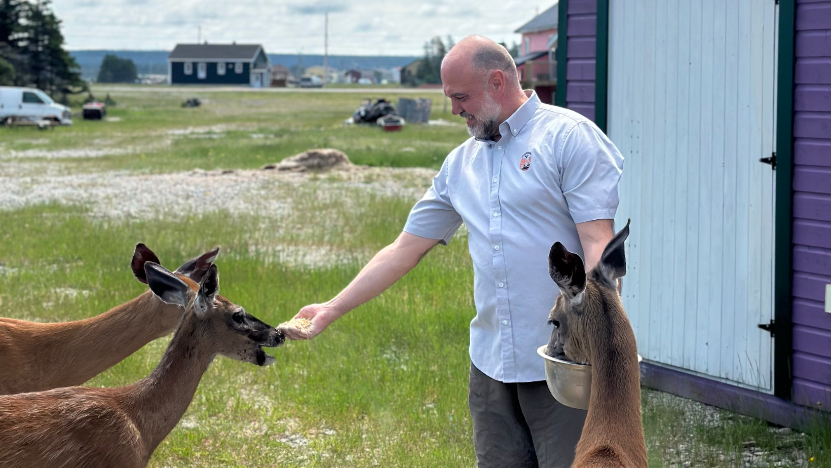 Fernand Marcoux qui donne à manger à trois chevreuils à Anticosti