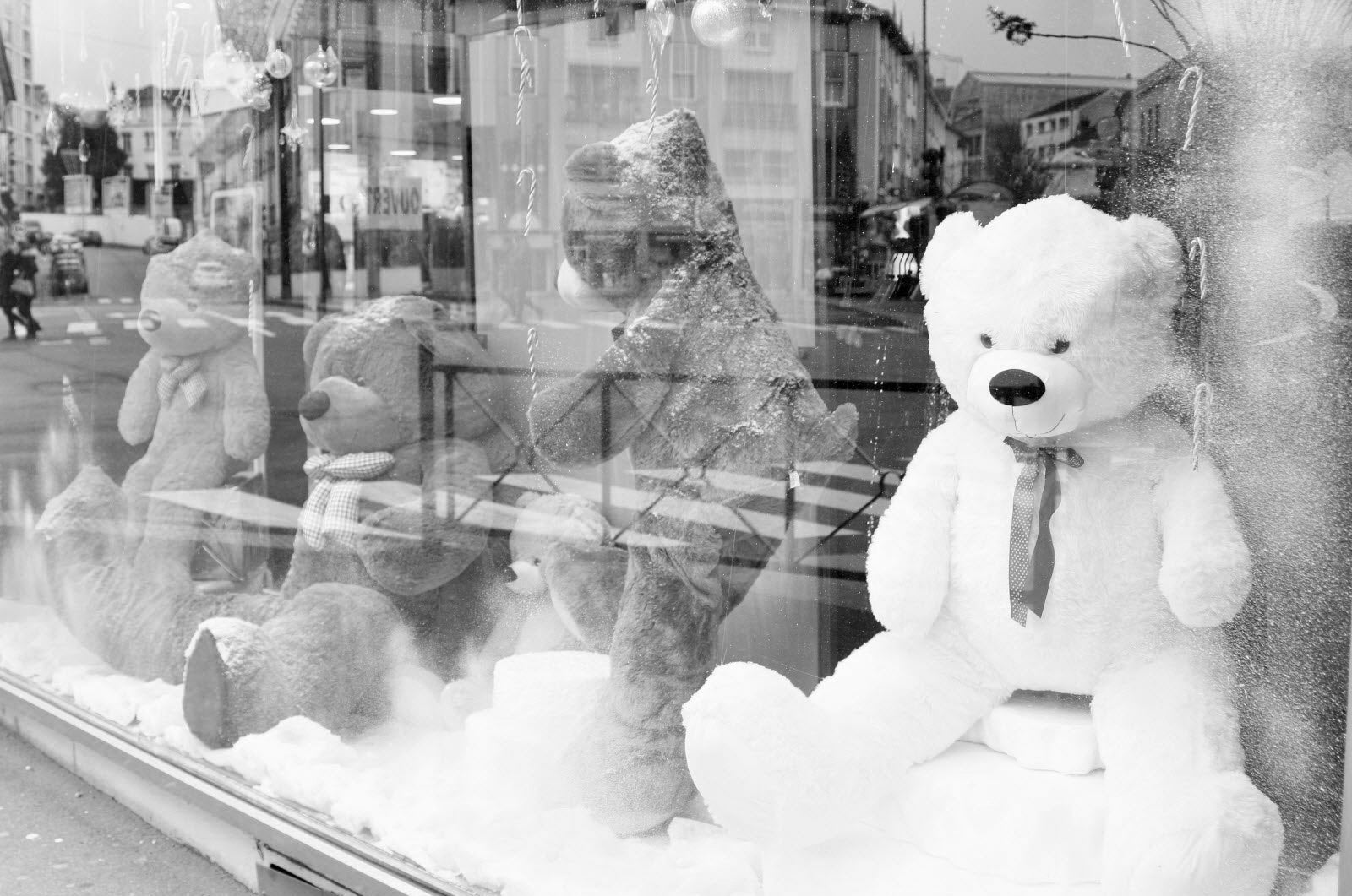 Notre magasin d'animaux en peluche