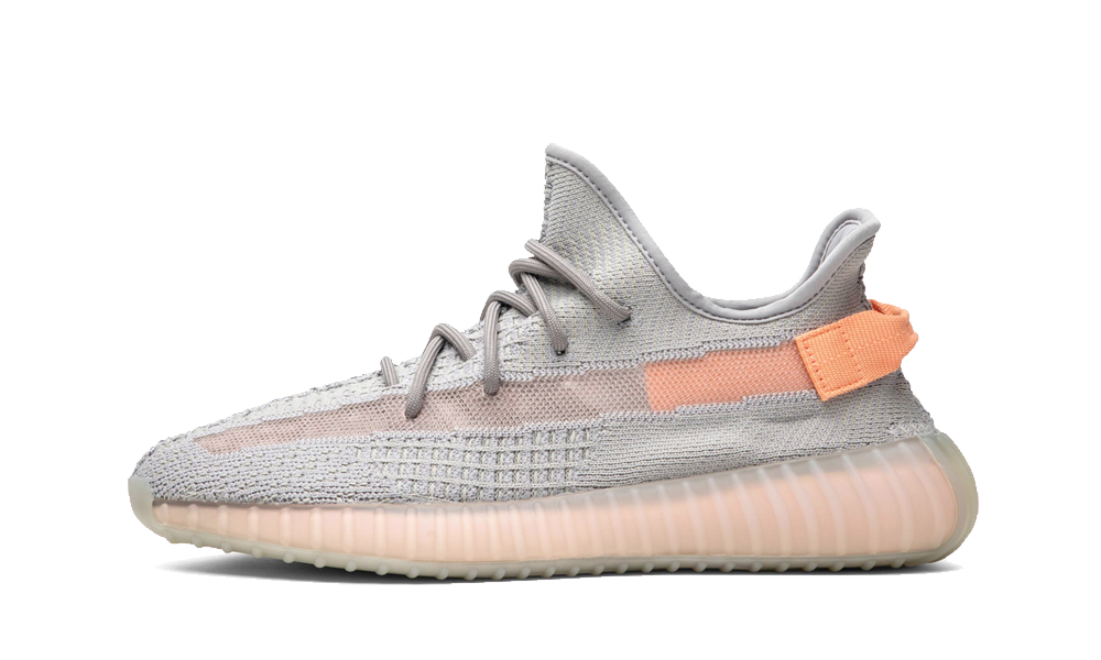 Adidas Yeezy Boost 350 V2 True Form 