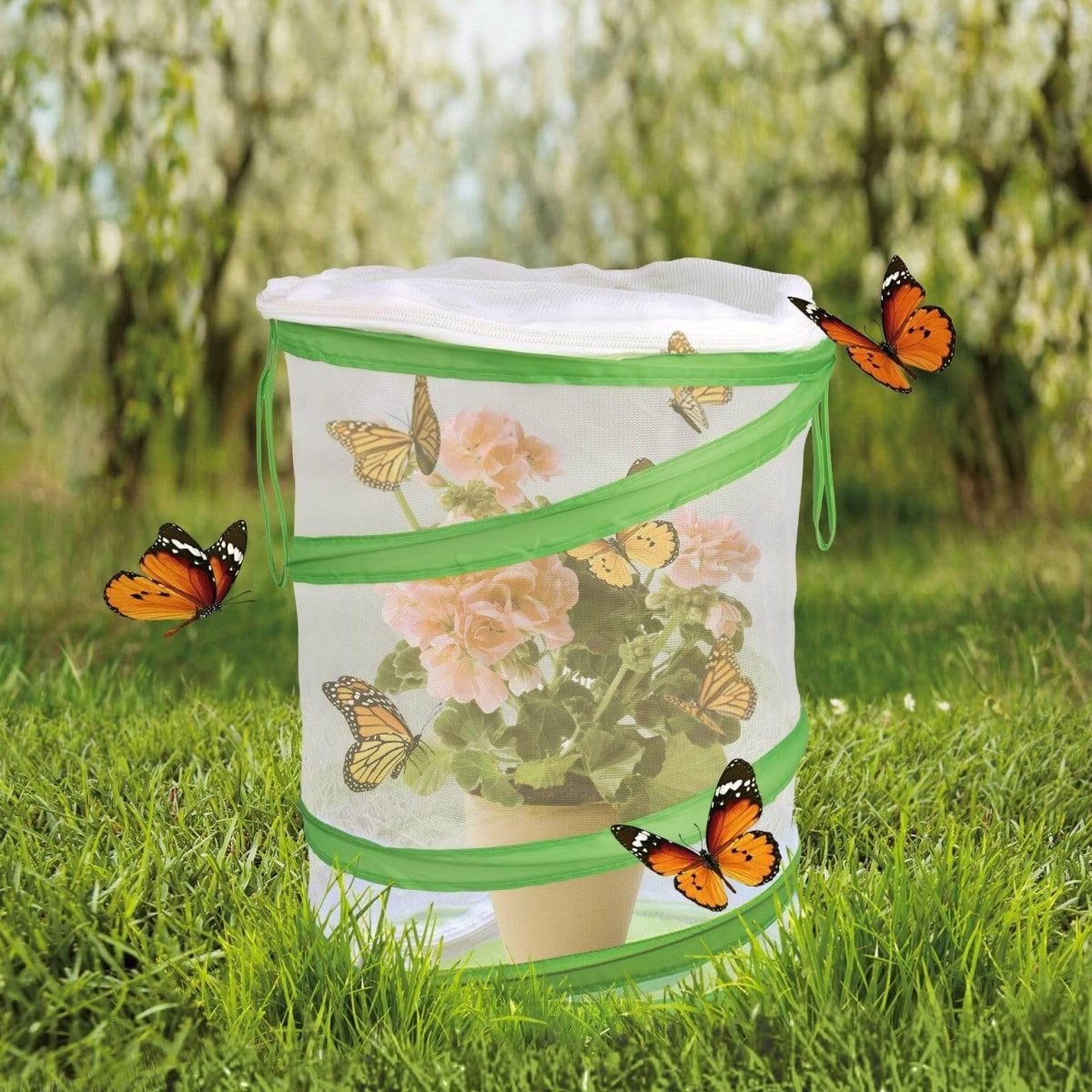 Rectangular Butterfly Habitat Hamper l PopFun