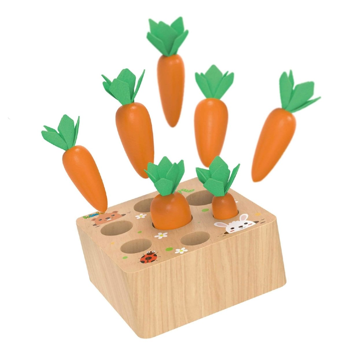 wooden carrot puzzle