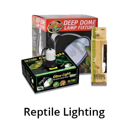 reptile lighting supplies