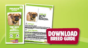 Download Pugalier breed guide