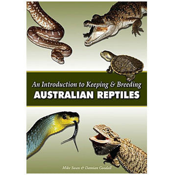 reptile keeping