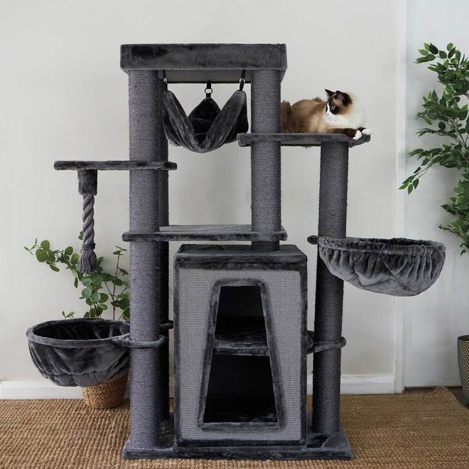 7 Benefits of Cat Scratching Posts — Kellyville Pets