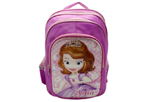 Load image into Gallery viewer, Cartoon Character School Bag For Grade-3 And Above (6016-18)
