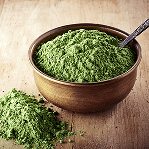 Chlorella