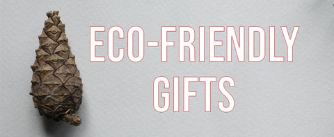 Image of a pinecone with Eco-Friendly Gifts