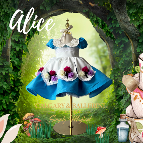 Alice in Wonderland Costume |  Kids Costume   |  Birthday Dress