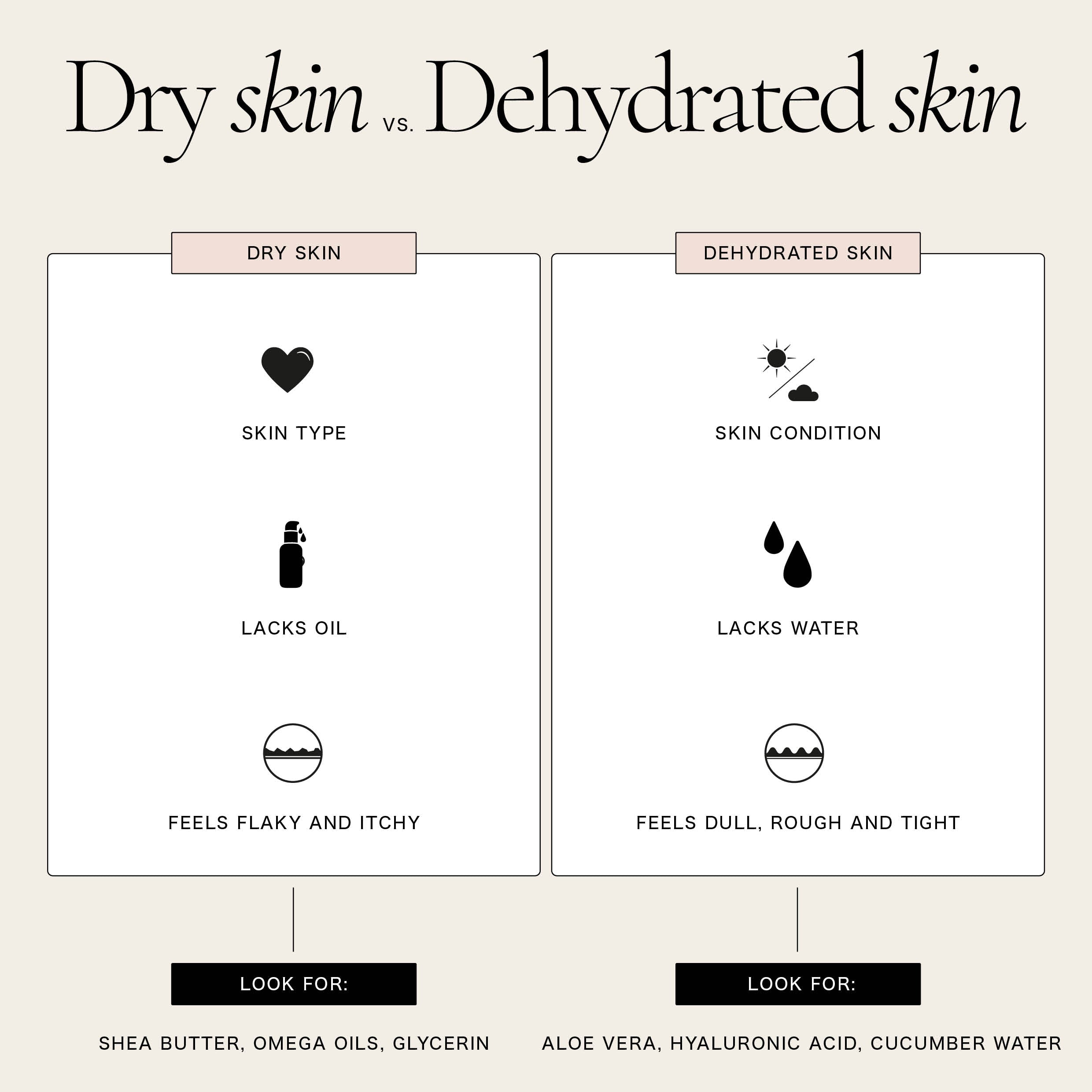 dry versus dehydrated skin