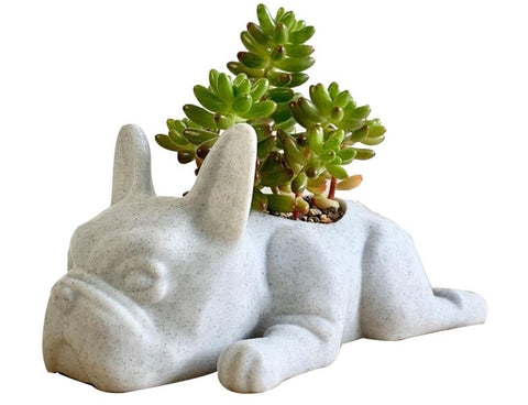 Puppy Succulent Pot