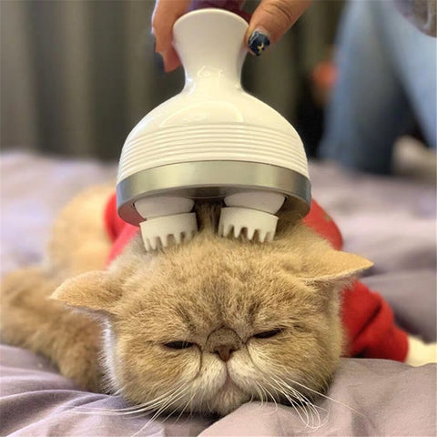 Universal Massager (For Cat & You) - Portable, lightweight, healthy for cat and you, show your love to cat, cat reaction to massage, scalp, body parts