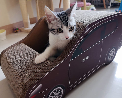 A SmartSUV™ Cat Car with a cat inside, ready to scratch.