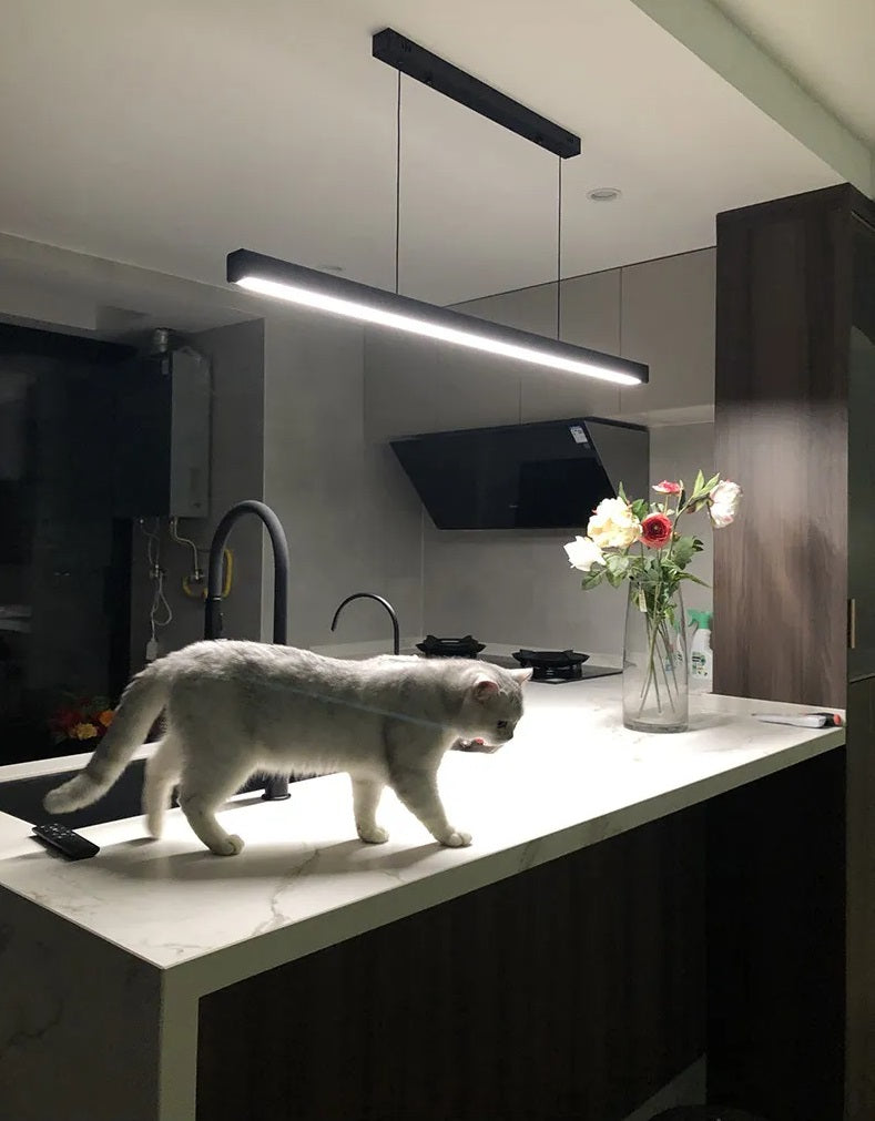 A cat standing on a contemporary minimalist kitchen counter.