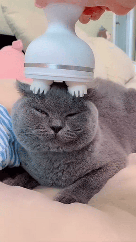 Universal Massager (For Cat & You) - Portable, lightweight, healthy for cat and you, show your love to cat, cat reaction to massage, scalp, body parts